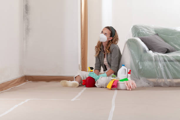 Reliable Black Mold Remediation contractor in Pennsauken, NJ by Car Mold Remediation